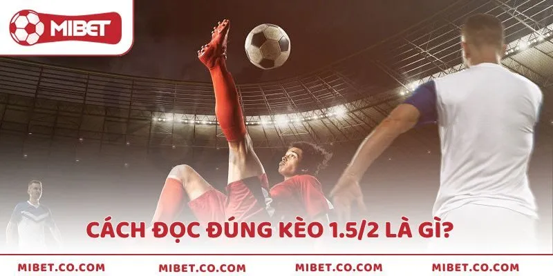 Cách đọc đúng về kèo tài xỉu 1.5/2