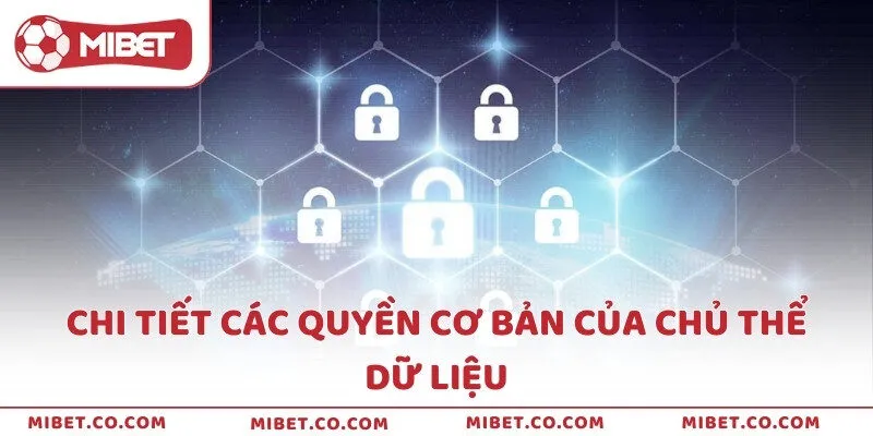 Chi tiết các quyền cơ bản của chủ thể dữ liệu